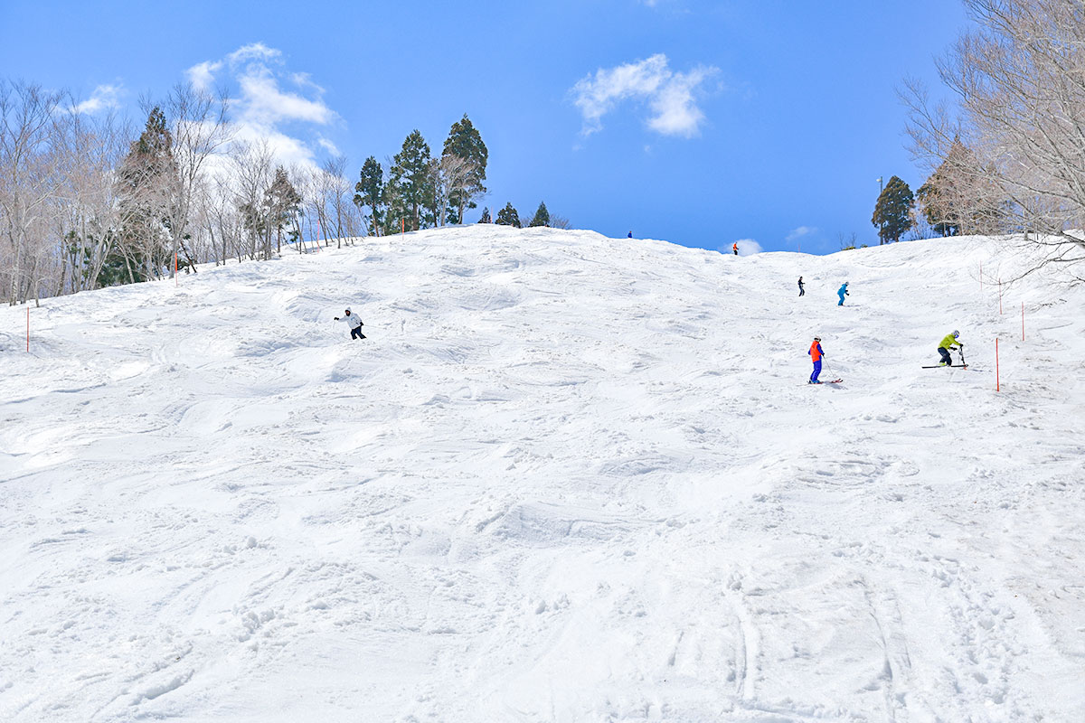 アクティビティ ガーラ湯沢スキー場(新潟県湯沢町)|GALA YUZAWA