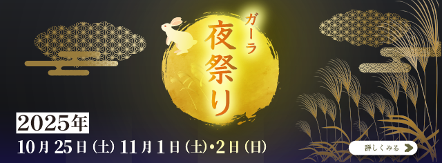 ガーラ夜祭り