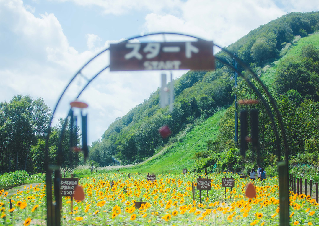 お花のめいろ